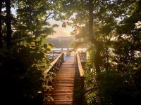 Adirondack chairs at sunset at Takundewide Cottages