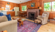 Takundewide lakeview Cottage #11 living room with fireplace